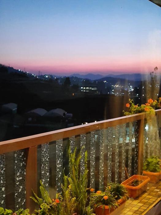 ooty