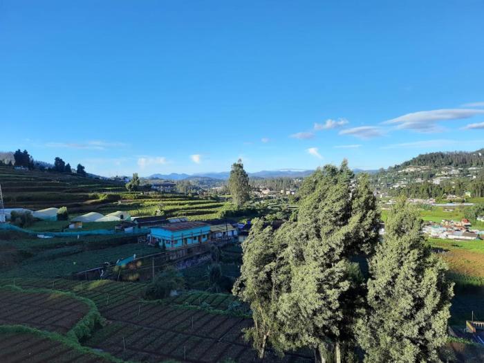 ooty