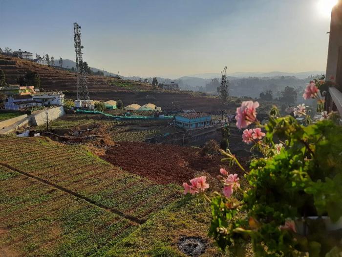 ooty