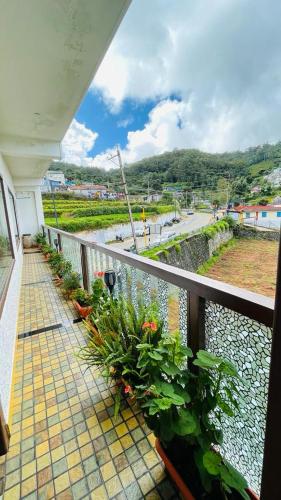 ooty