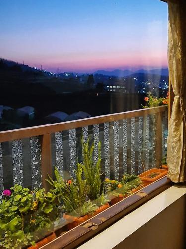 ooty