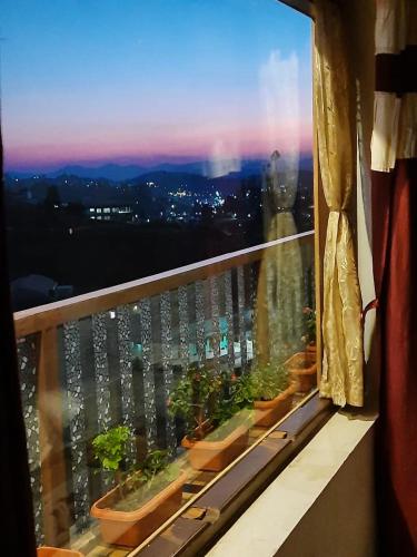ooty