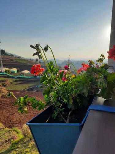 ooty