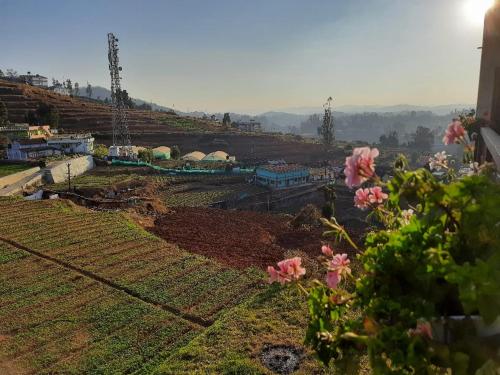 ooty