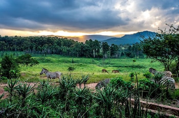 hilton garden inn mbabane