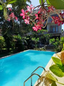 Surf Gangs Hotel,Arugam Bay>>Ampara,3 star
