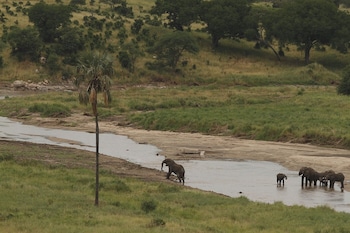 lake manyara national park