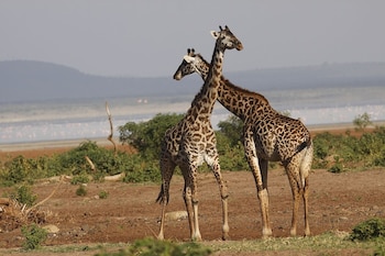 lake manyara national park
