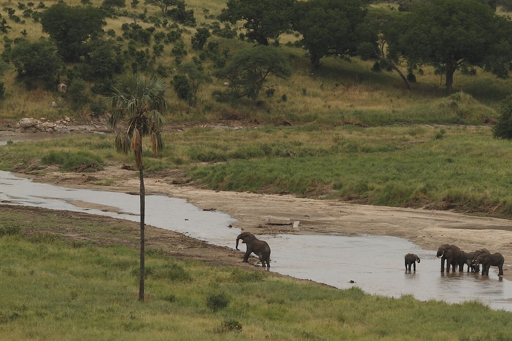lake manyara national park