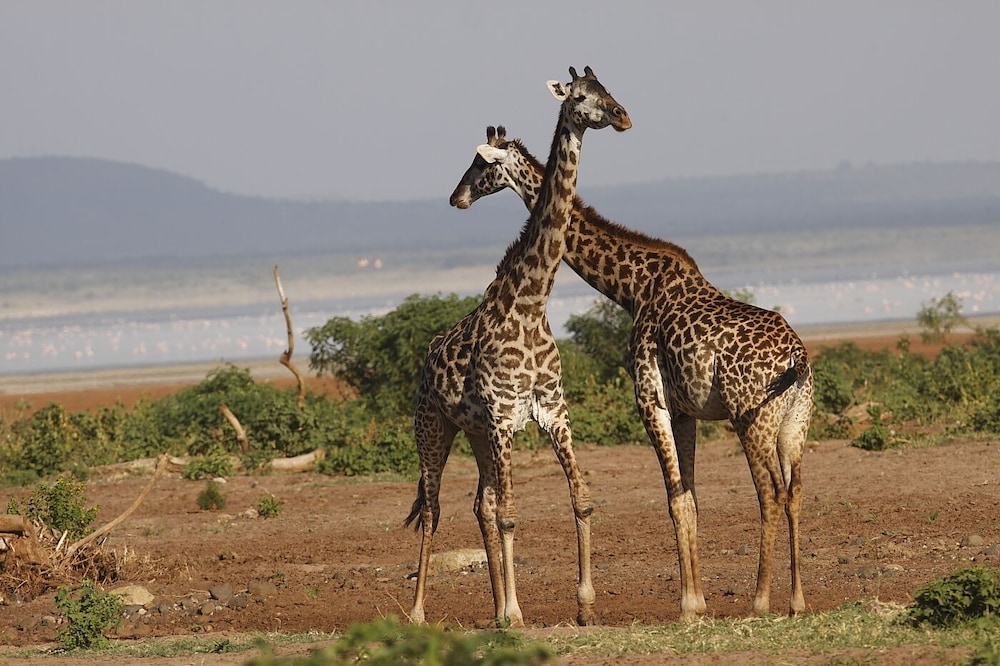 lake manyara national park