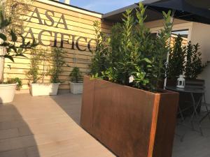 casa pacifico