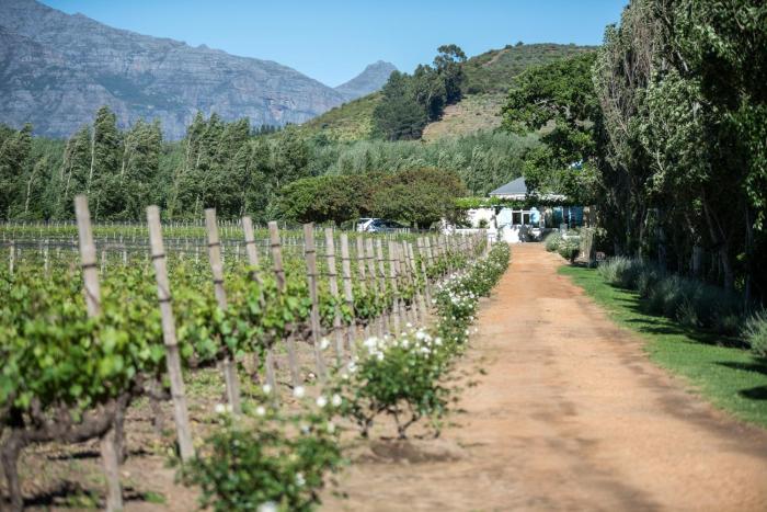 franschhoek