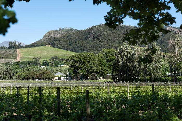 franschhoek