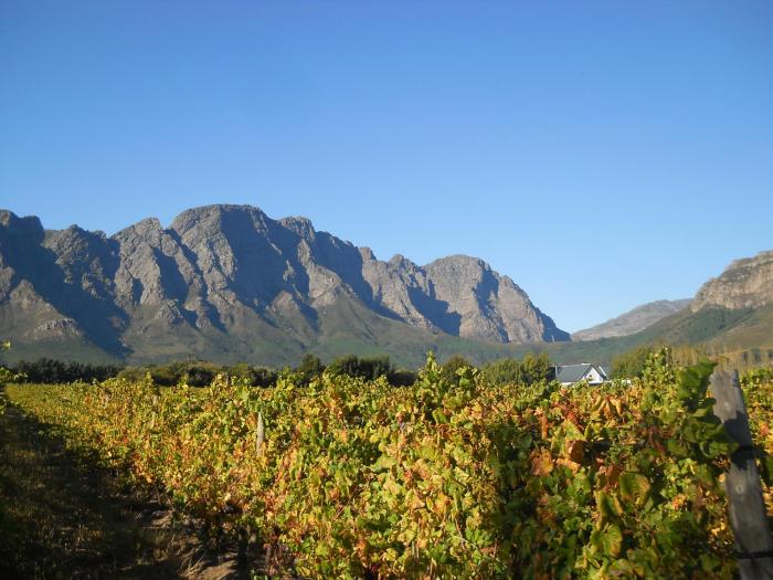 franschhoek