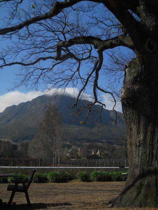 franschhoek