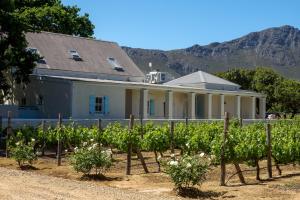 franschhoek