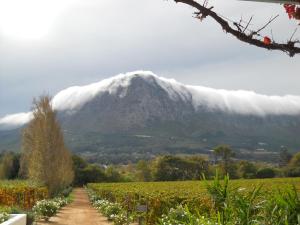 franschhoek