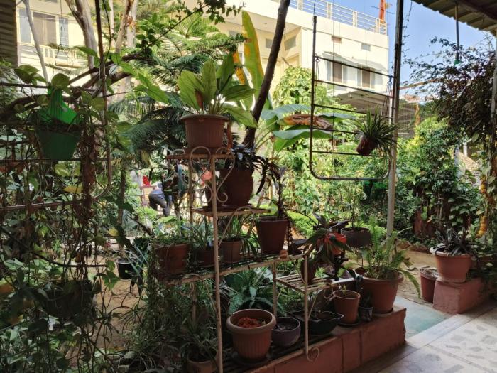 homestay urmil basant