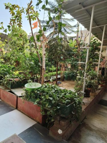 Homestay Urmil Basant,Hawa Sadak,3 star