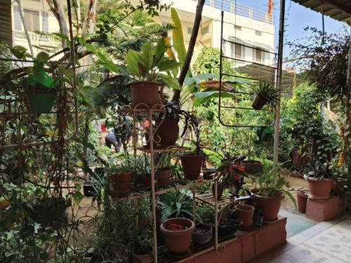 Homestay Urmil Basant,Hawa Sadak,3 star