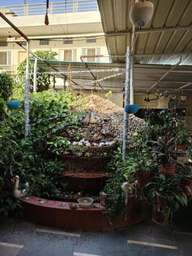 Homestay Urmil Basant,Hawa Sadak,3 star