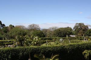 alajuela