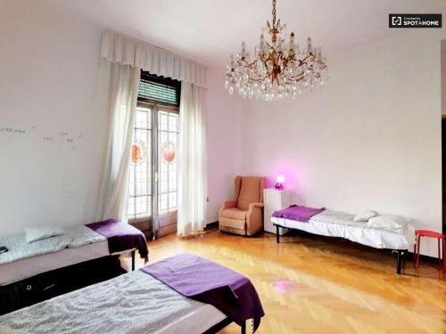 city center best hostel