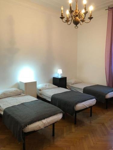 city center best hostel