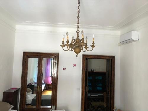 city center best hostel