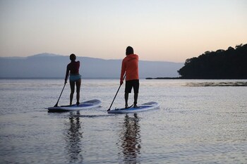 paquera