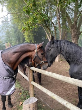 pressagny lorgueilleux