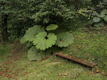 cabeceras