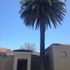 lord caledon guest house