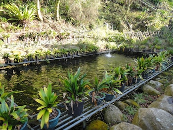 bunbury fruit ranch bandb