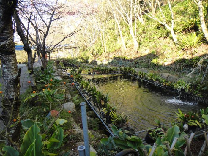 bunbury fruit ranch bandb