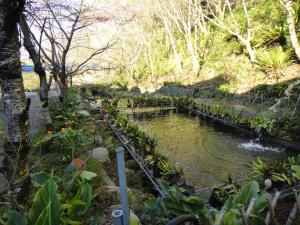 bunbury fruit ranch bandb