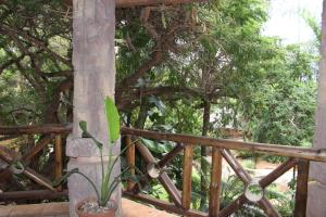 prinshof manor guesthouse