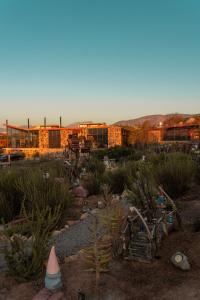 valle de guadalupe