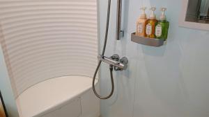 little mermaid hotel ishigakijima