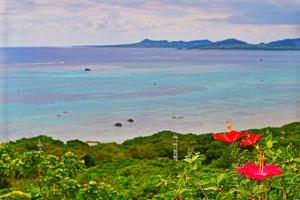 little mermaid hotel ishigakijima