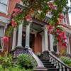 savannah