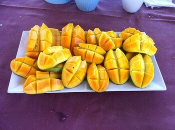 Eden Lodge Kribi,,3 star