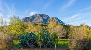 la felicita boutique villas and apartments