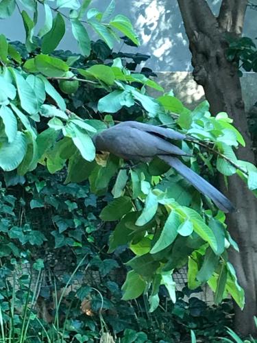 greenwoods self catering