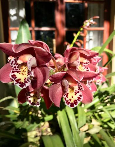 greenwoods self catering