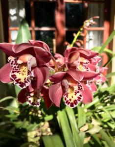 greenwoods self catering