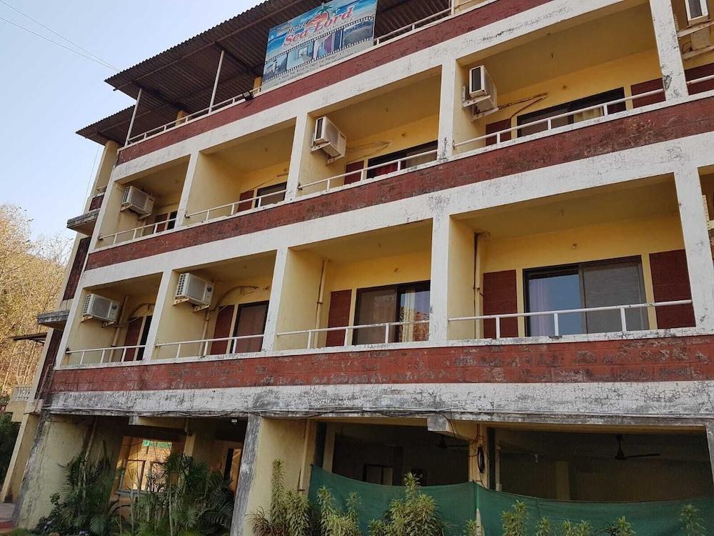 dapoli