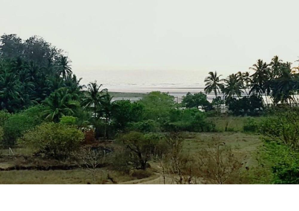 dapoli