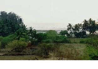 dapoli