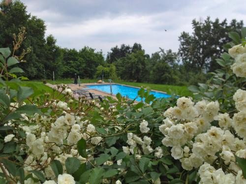 agriturismo famiglia al castello di bagnolo